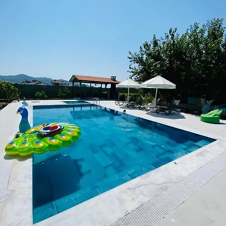 度假居 New: Charming Summer With Big Private Pool